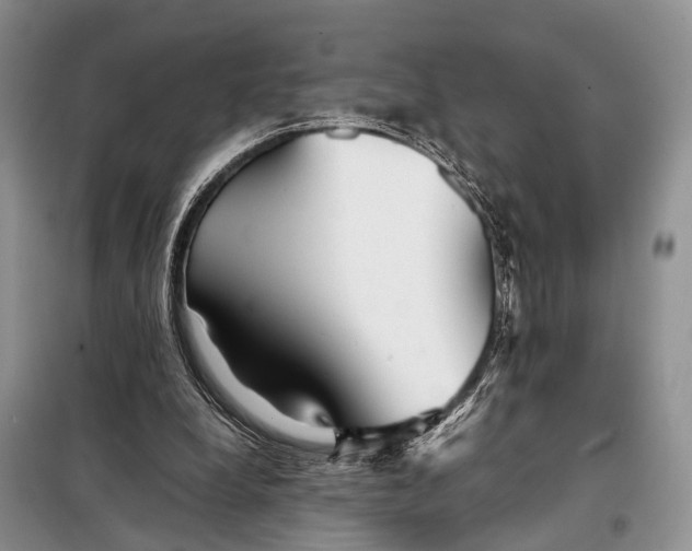 X0000098020248200804181210