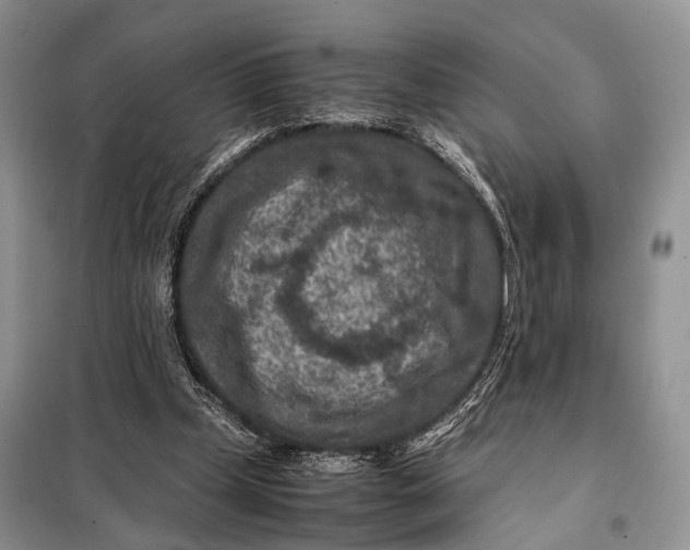 X0000098020249200804181210