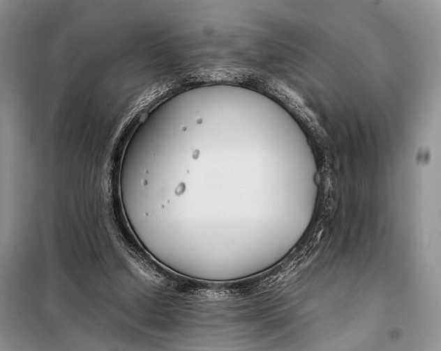 X0000098020250200804181210