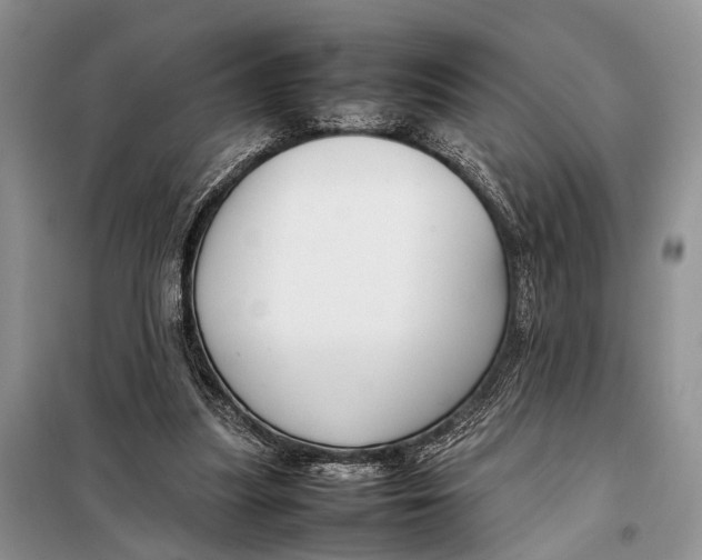 X0000098020251200804181210
