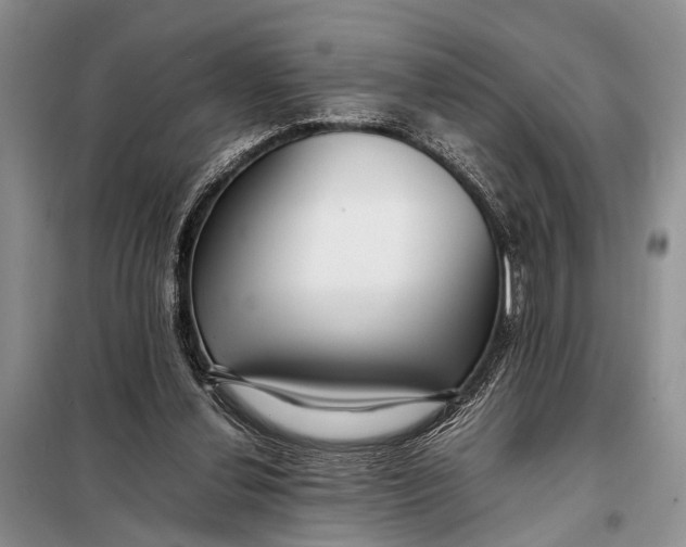 X0000098020252200804181210