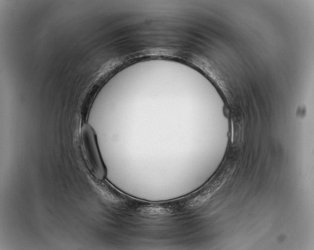 X0000098020253200804181210