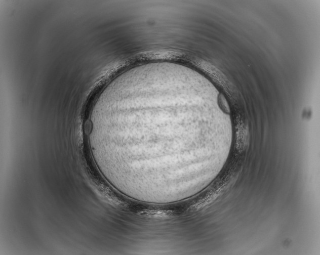 X0000098020254200804181210