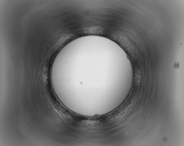 X0000098020255200804181210