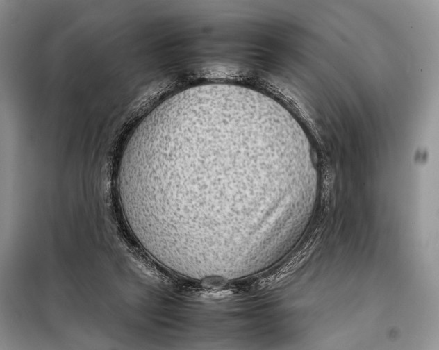 X0000098020257200804181210