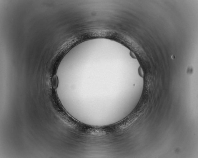 X0000098020258200804181210