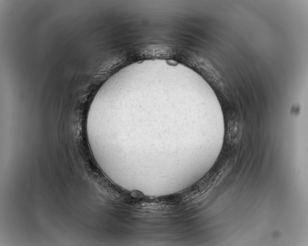 X0000098020259200804181210