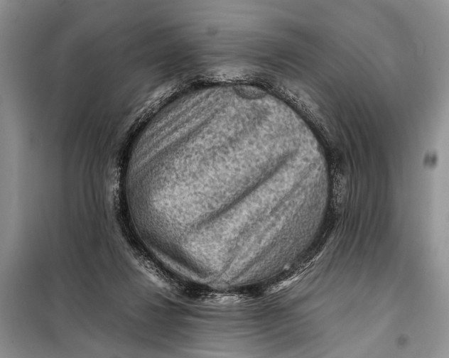 X0000098020260200804181210