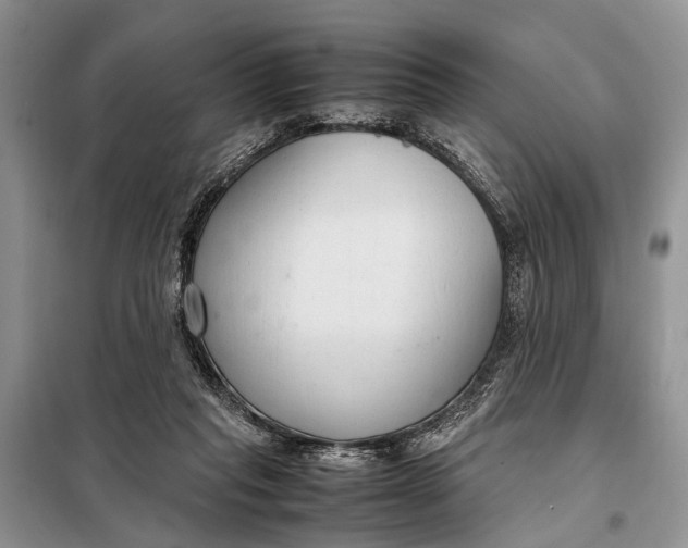 X0000098020261200804181210
