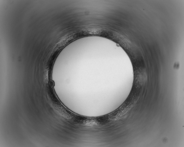 X0000098020262200804181210