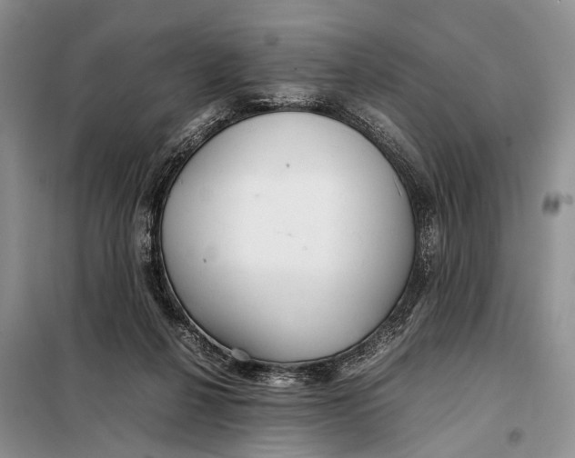 X0000098020264200804181210