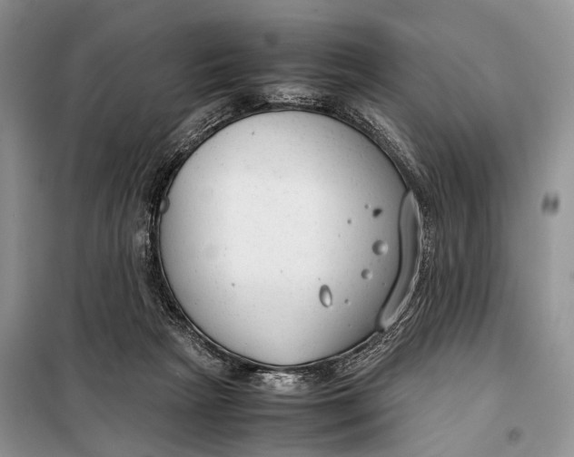 X0000098020265200804181210