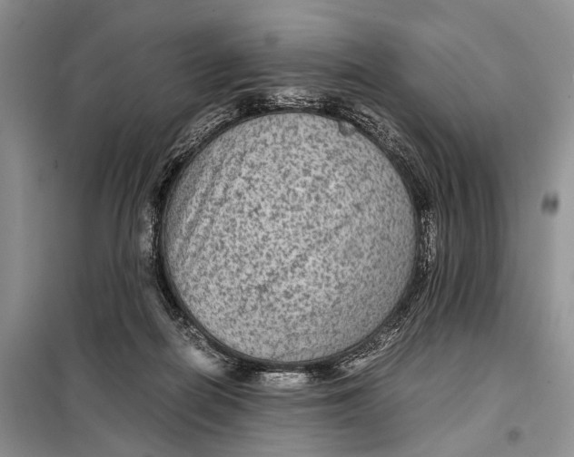 X0000098020266200804181210