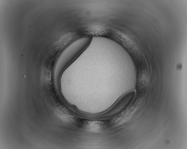 X0000098020268200804181210