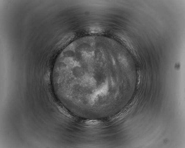 X0000098020269200804181210