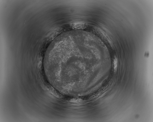 X0000098020271200804181210