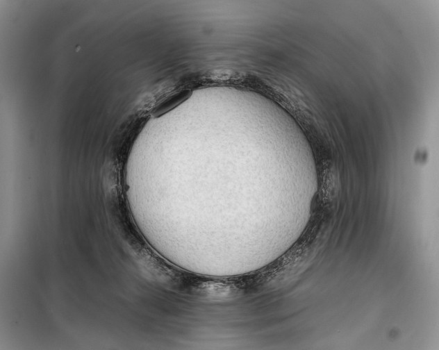 X0000098020272200804181210
