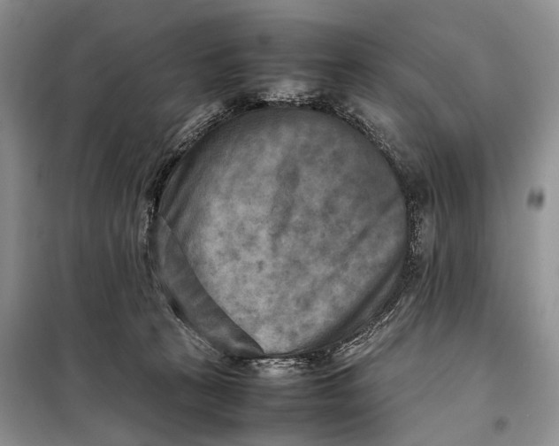 X0000098020273200804181210