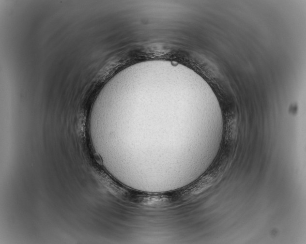 X0000098020274200804181210