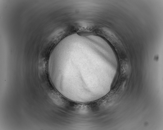 X0000098020276200804181210