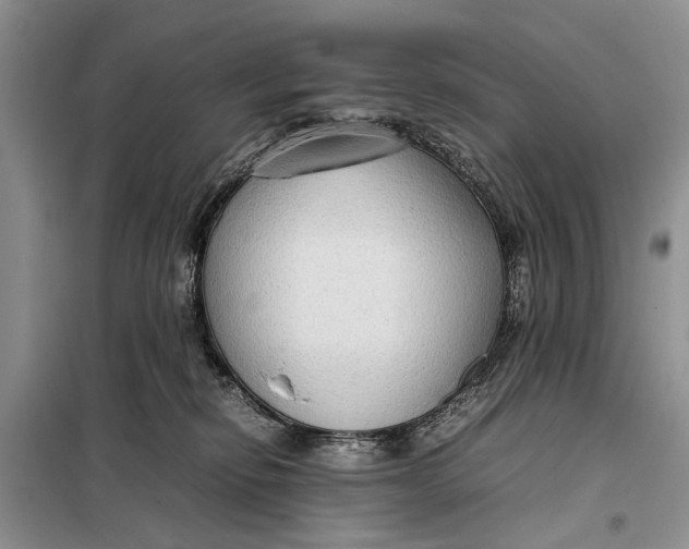 X0000098020278200804181210