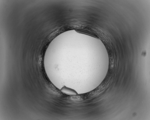 X0000098020279200804181210