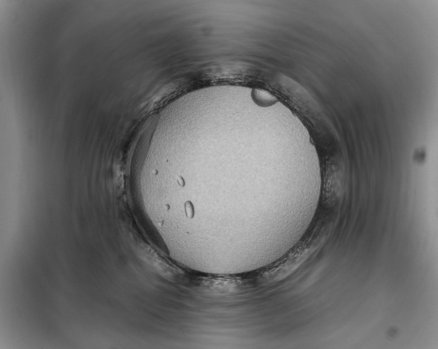 X0000098020282200804181210