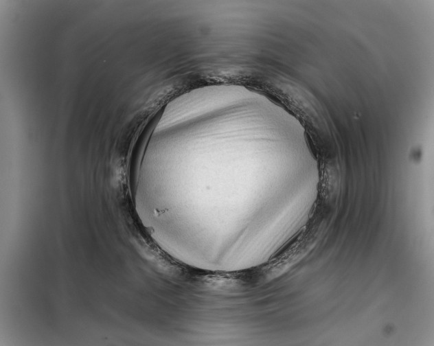 X0000098020284200804181210