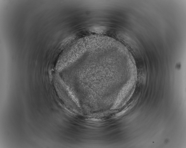 X0000098020285200804181210