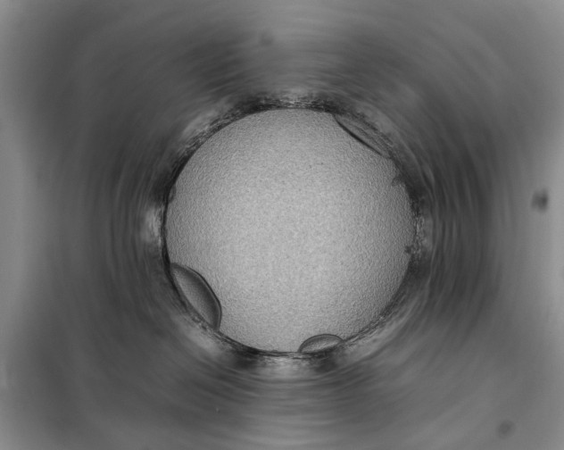 X0000098020286200804181210