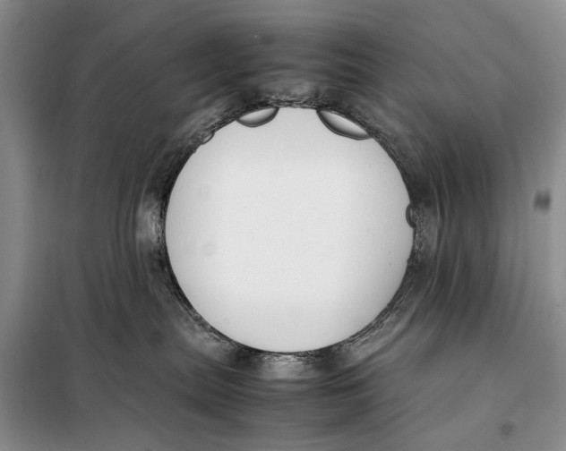 X0000098020287200804181210