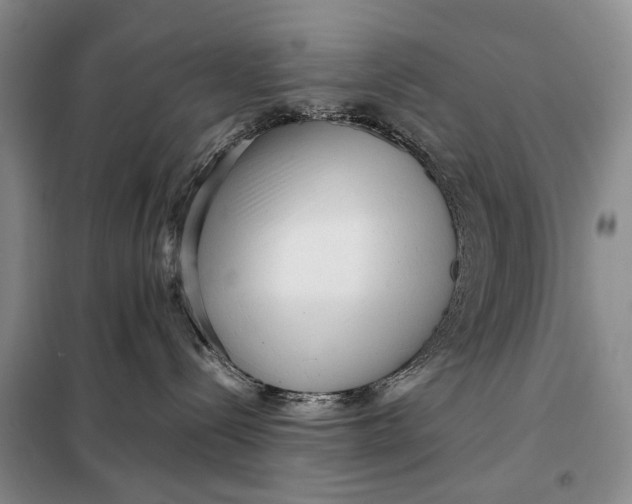 X0000098020288200804181210