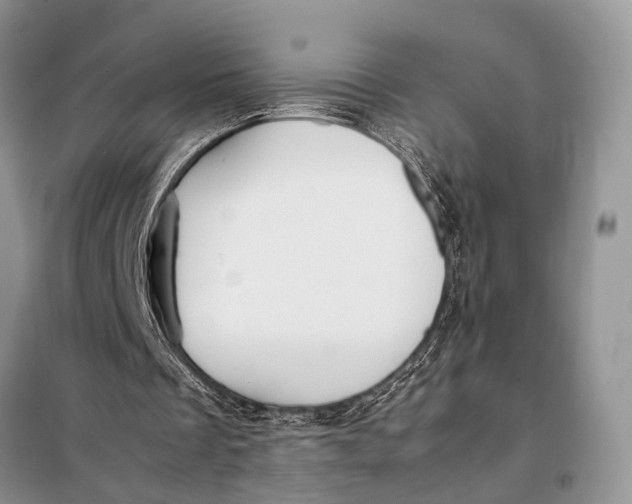 X0000098020289200804181209
