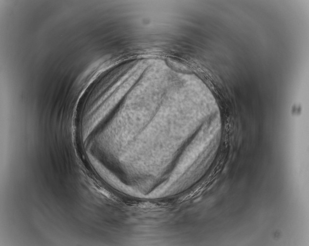 X0000098020290200804181209