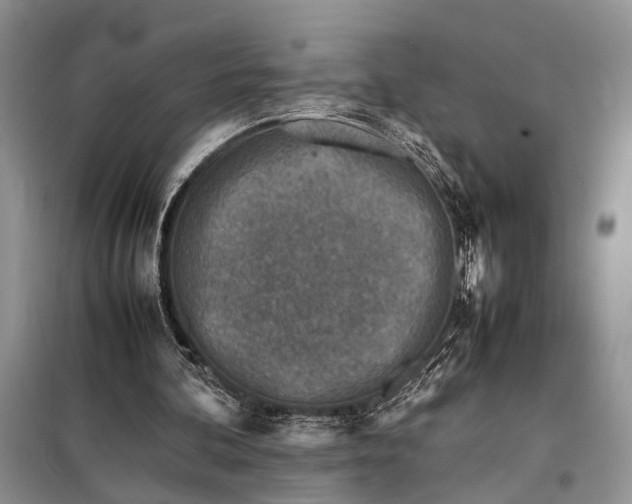 X0000098020292200804181209