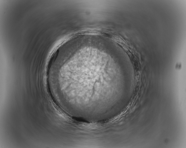 X0000098020293200804181209