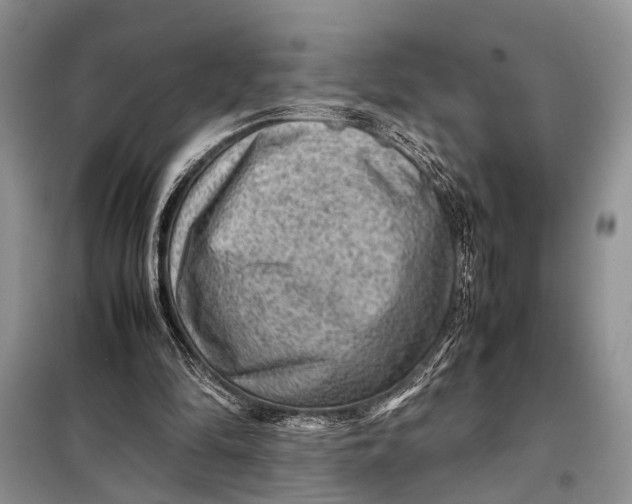X0000098020294200804181209