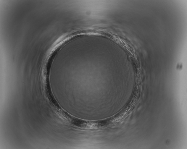 X0000098020295200804181209