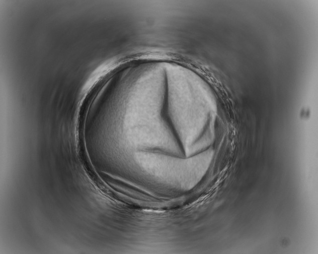 X0000098020296200804181209