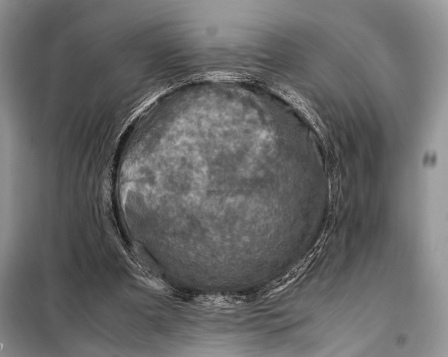 X0000098020297200804181209