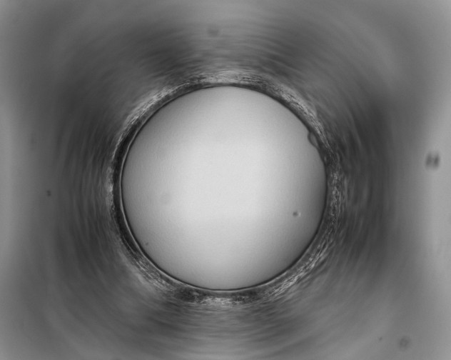 X0000098020298200804181209