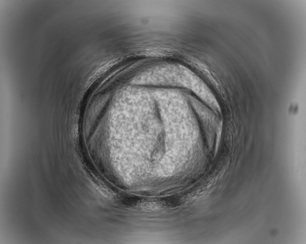 X0000098020299200804181209