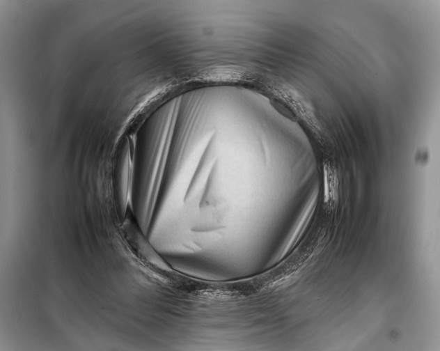 X0000098020300200804181209