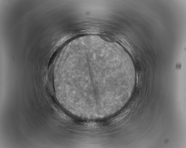 X0000098020301200804181209