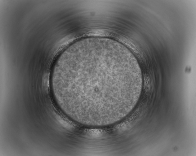 X0000098020302200804181209