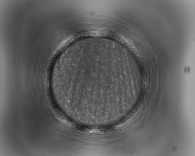 X0000098020303200804181209