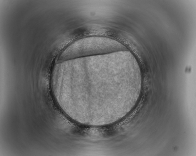 X0000098020305200804181209