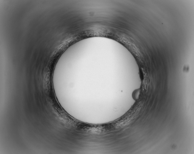 X0000098020306200804181209