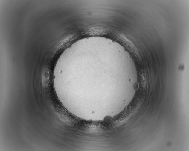 X0000098020308200804181209