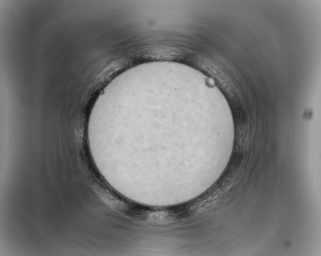 X0000098020309200804181209